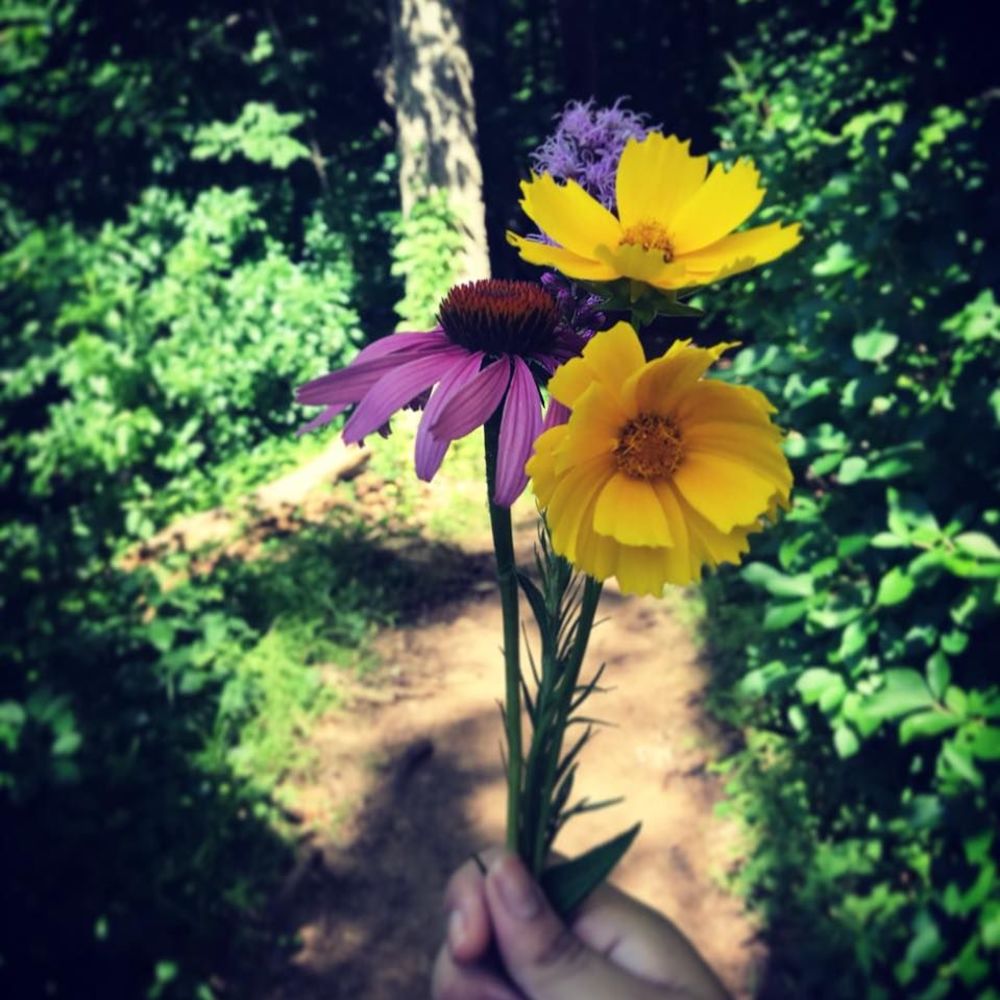 Meet your Posher, Lola